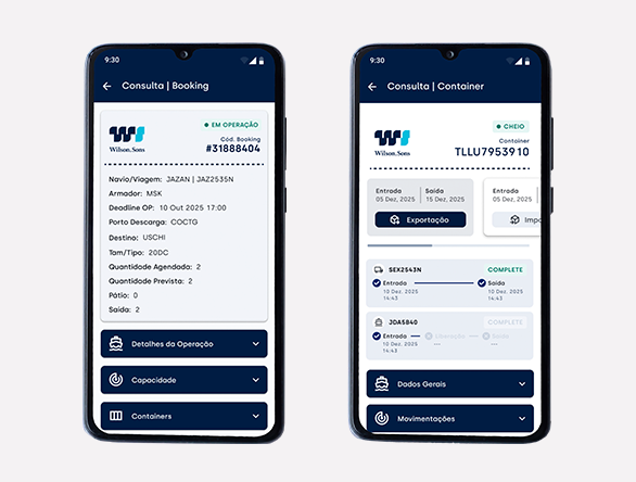 UX do app Teconline RIG: consulta de bookings e containers no Tecon Rio Grande